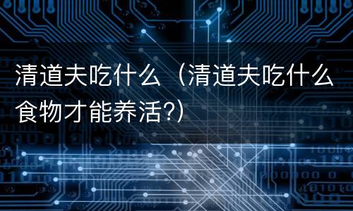 清道夫吃什么（清道夫吃什么食物才能养活?）