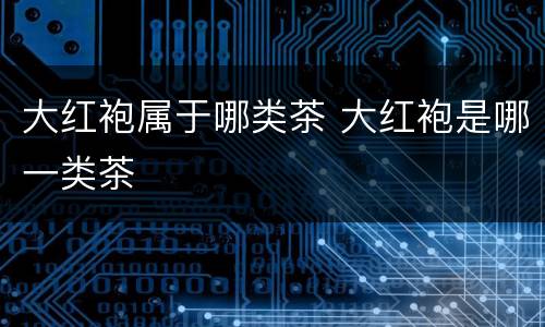 大红袍属于哪类茶 大红袍是哪一类茶