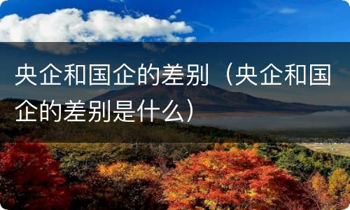 央企和国企的差别（央企和国企的差别是什么）
