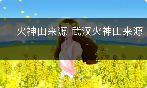 ​火神山来源 武汉火神山来源