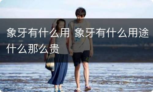 象牙有什么用 象牙有什么用途什么那么贵