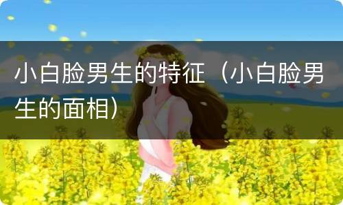 小白脸男生的特征（小白脸男生的面相）
