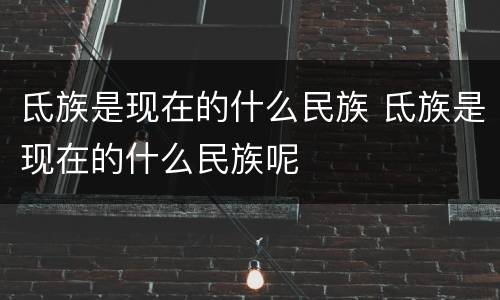 氐族是现在的什么民族 氐族是现在的什么民族呢