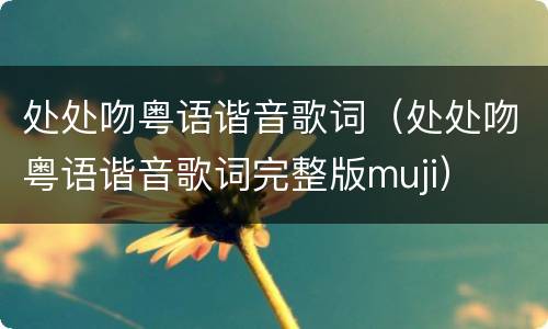 处处吻粤语谐音歌词（处处吻粤语谐音歌词完整版muji）