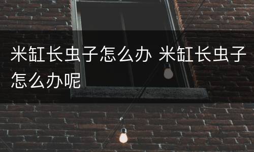 米缸长虫子怎么办 米缸长虫子怎么办呢