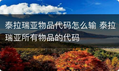 泰拉瑞亚物品代码怎么输 泰拉瑞亚所有物品的代码
