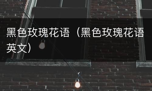 黑色玫瑰花语（黑色玫瑰花语英文）