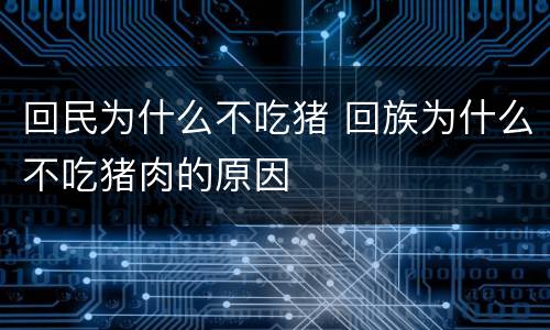 回民为什么不吃猪 回族为什么不吃猪肉的原因