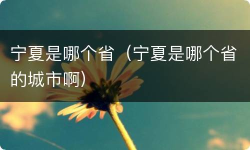 宁夏是哪个省（宁夏是哪个省的城市啊）