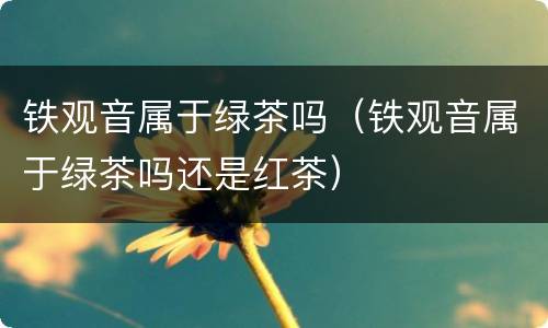 铁观音属于绿茶吗（铁观音属于绿茶吗还是红茶）