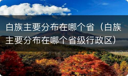白族主要分布在哪个省（白族主要分布在哪个省级行政区）