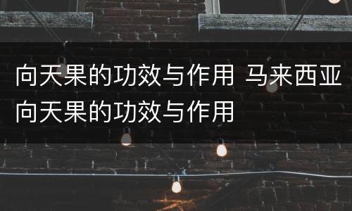 向天果的功效与作用 马来西亚向天果的功效与作用