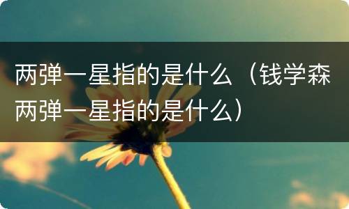 两弹一星指的是什么（钱学森两弹一星指的是什么）