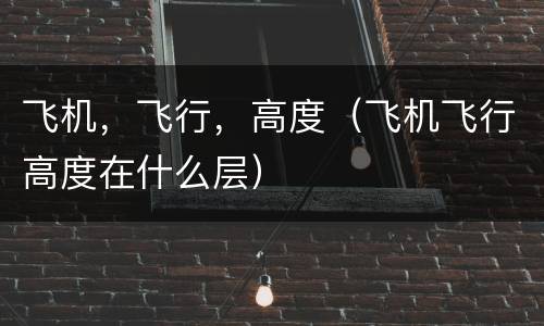 飞机，飞行，高度（飞机飞行高度在什么层）