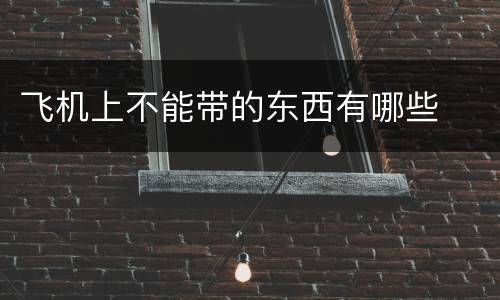 飞机上不能带的东西有哪些