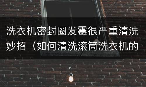 洗衣机密封圈发霉很严重清洗妙招（如何清洗滚筒洗衣机的橡皮圈霉斑）