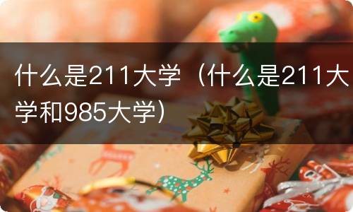 什么是211大学（什么是211大学和985大学）