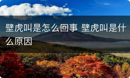 壁虎叫是怎么回事 壁虎叫是什么原因