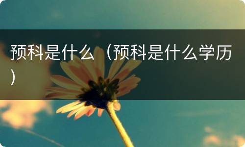 预科是什么（预科是什么学历）