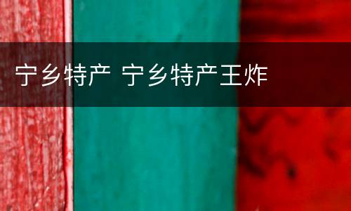 宁乡特产 宁乡特产王炸