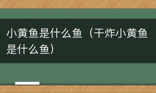 小黄鱼是什么鱼（干炸小黄鱼是什么鱼）