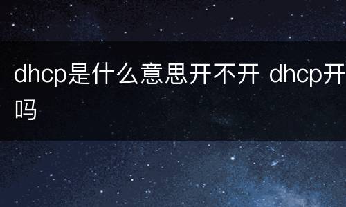 dhcp是什么意思开不开 dhcp开吗