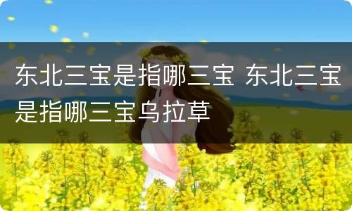 东北三宝是指哪三宝 东北三宝是指哪三宝乌拉草
