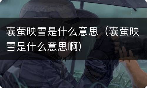 囊萤映雪是什么意思（囊萤映雪是什么意思啊）