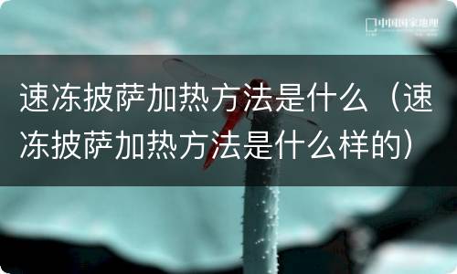 速冻披萨加热方法是什么（速冻披萨加热方法是什么样的）