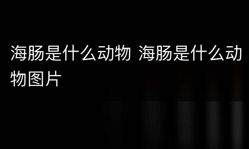 海肠是什么动物 海肠是什么动物图片