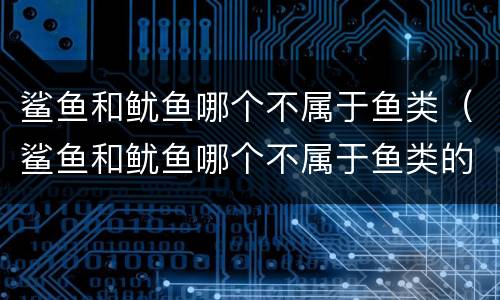 鲨鱼和鱿鱼哪个不属于鱼类（鲨鱼和鱿鱼哪个不属于鱼类的）