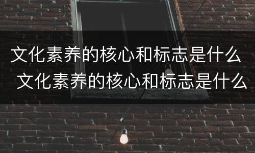 文化素养的核心和标志是什么 文化素养的核心和标志是什么意思