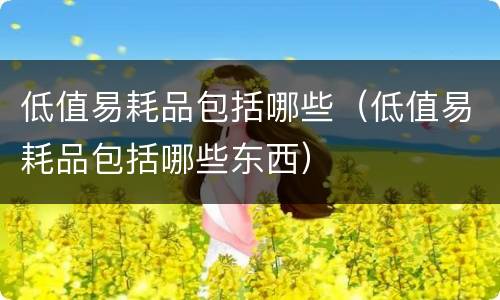 低值易耗品包括哪些（低值易耗品包括哪些东西）