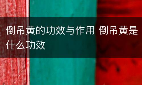 倒吊黄的功效与作用 倒吊黄是什么功效