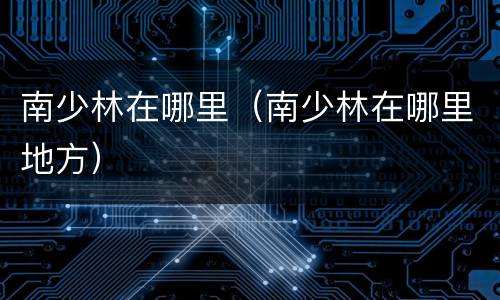南少林在哪里（南少林在哪里地方）
