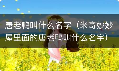 唐老鸭叫什么名字（米奇妙妙屋里面的唐老鸭叫什么名字）
