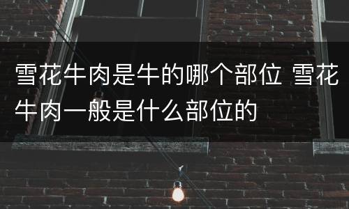 雪花牛肉是牛的哪个部位 雪花牛肉一般是什么部位的
