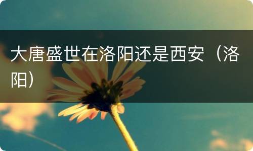 大唐盛世在洛阳还是西安（洛阳）