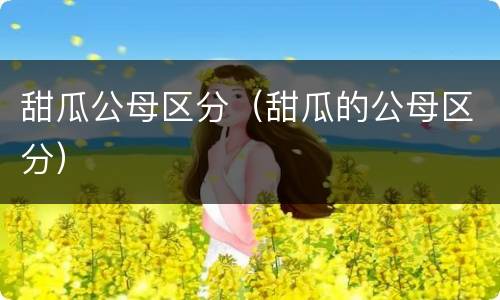 甜瓜公母区分（甜瓜的公母区分）