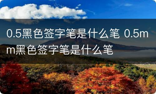 0.5黑色签字笔是什么笔 0.5mm黑色签字笔是什么笔