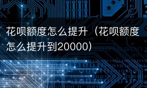 花呗额度怎么提升（花呗额度怎么提升到20000）
