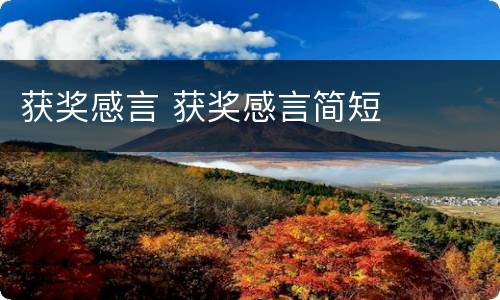 获奖感言 获奖感言简短