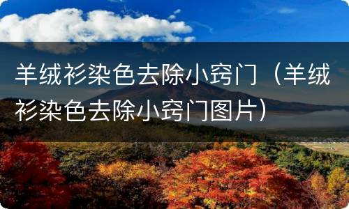 羊绒衫染色去除小窍门（羊绒衫染色去除小窍门图片）