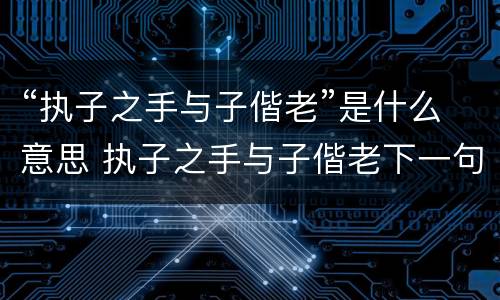 “执子之手与子偕老”是什么意思 执子之手与子偕老下一句是什么