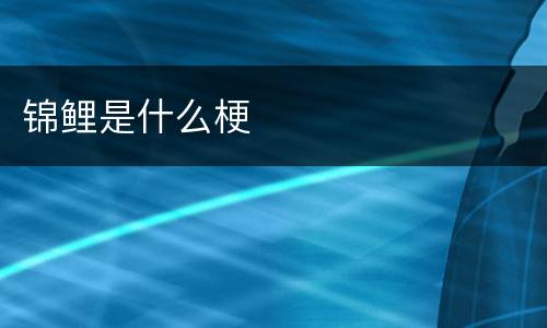 锦鲤是什么梗