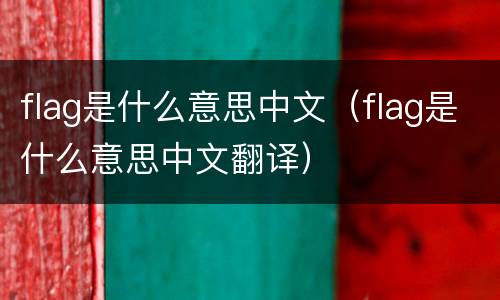 flag是什么意思中文（flag是什么意思中文翻译）