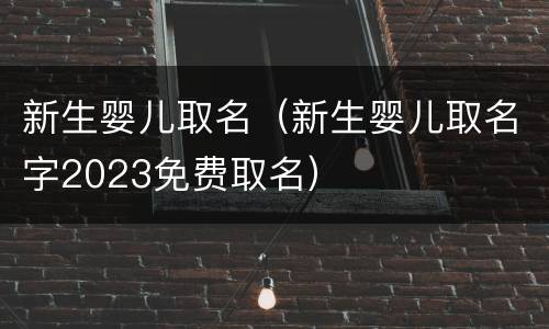 新生婴儿取名（新生婴儿取名字2023免费取名）
