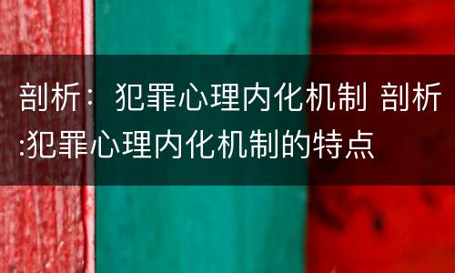 剖析：犯罪心理内化机制 剖析:犯罪心理内化机制的特点