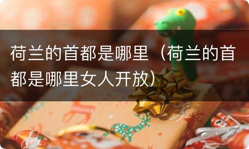 荷兰的首都是哪里（荷兰的首都是哪里女人开放）