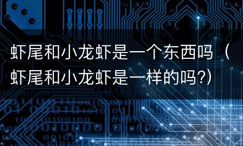 虾尾和小龙虾是一个东西吗（虾尾和小龙虾是一样的吗?）